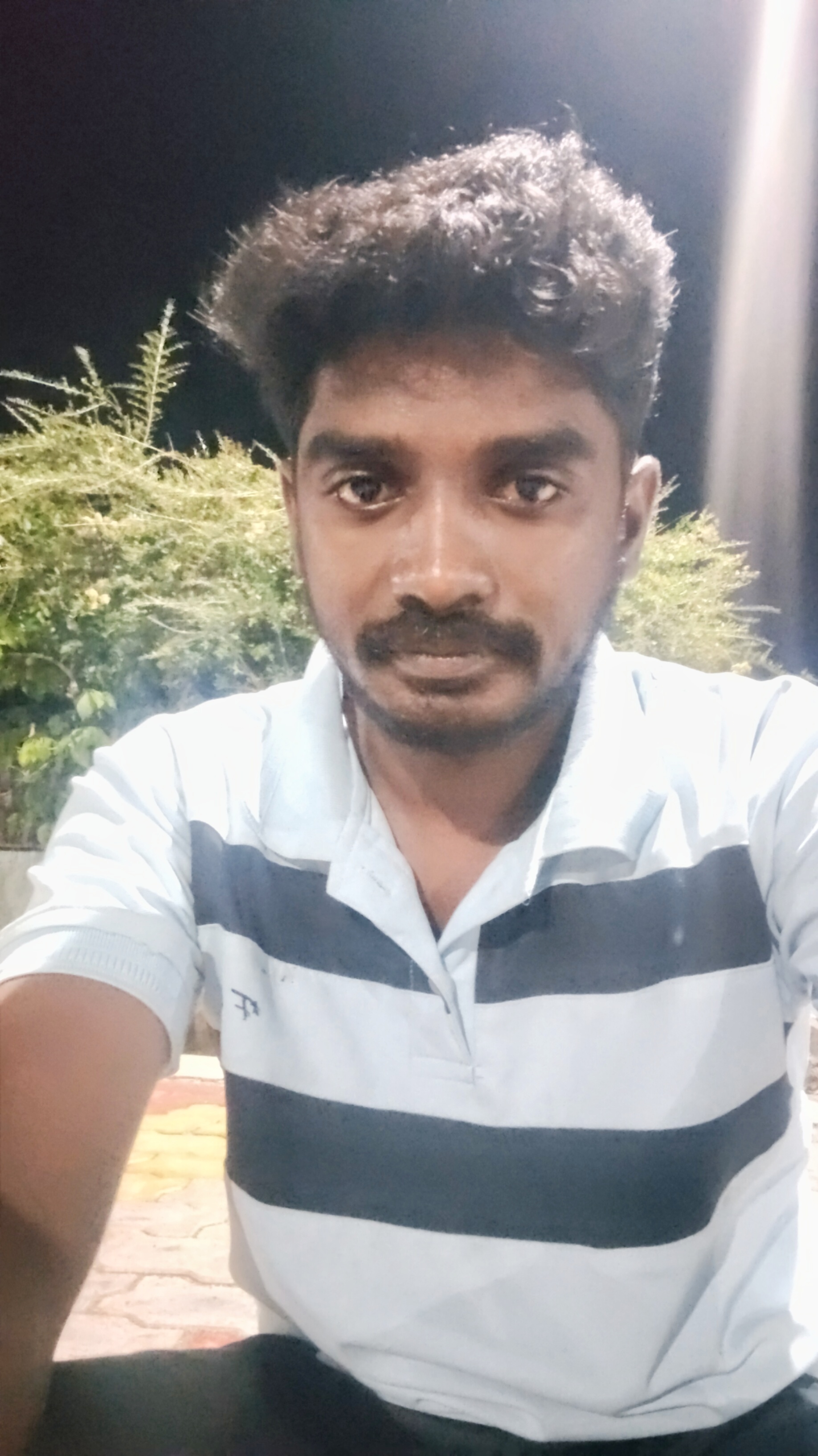 சேர்மக்கனி